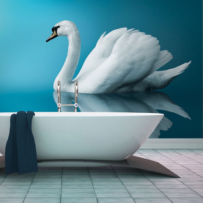 Papier peint intissé panoramique Animaux cygne - réflexion Couleur multicouleur <span itemprop=