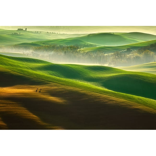 Tableau nature collines brumeuses - HEXOA