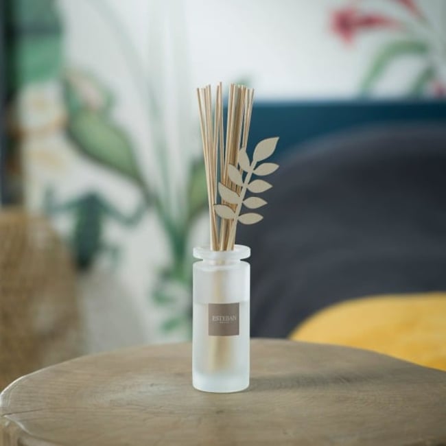 Bouquet parfumé rechargeable - Blanc Coton 100 ml - ESTEBAN