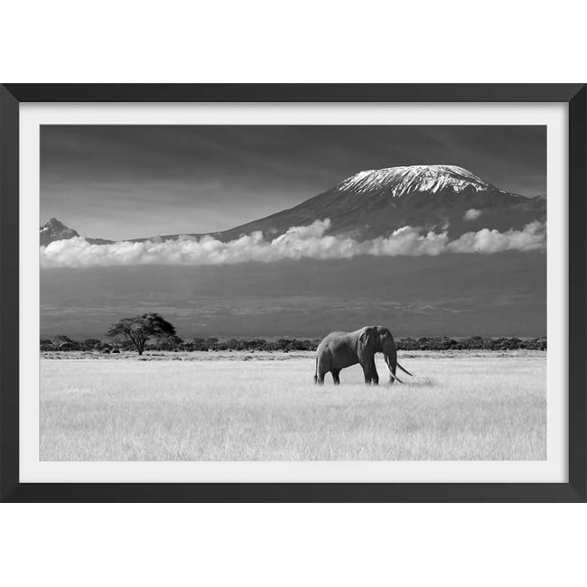 Affiche éléphant et kilimanjaro - HEXOA