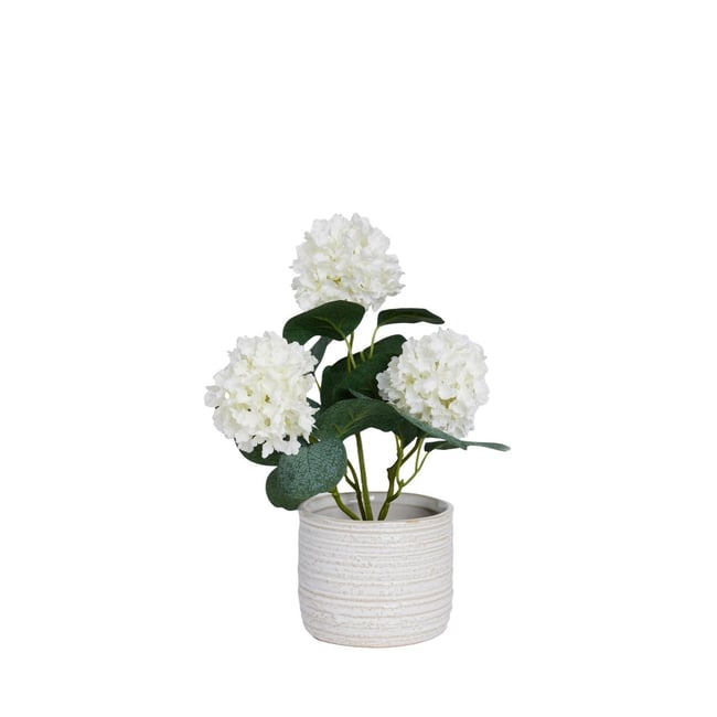 Pot en céramique avec viorne artificielle Couleur blanc <span itemprop=
