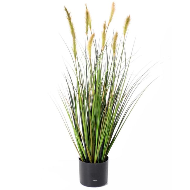 Graminée en pot factice plante eau & queno Couleur vert-jaune <span itemprop=