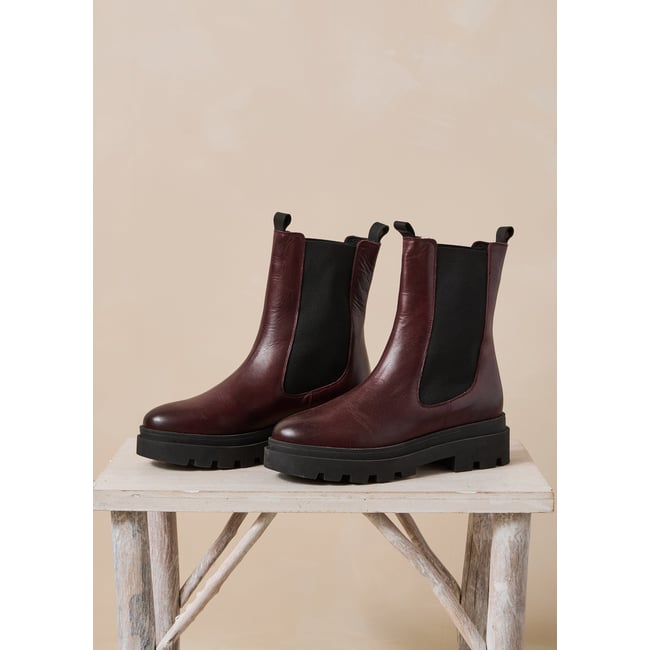 Bottines chelsea en cuir bordeaux / noir <span itemprop=