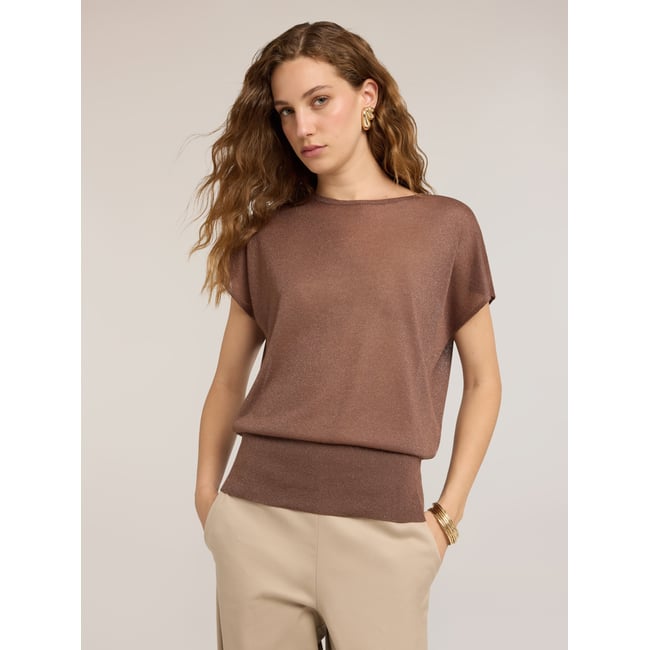 Pull en fil fin mélangé viscose et fil textile marron <span itemprop=
