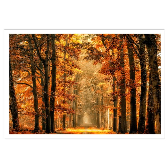 Affiche paysage magie de l' automne - HEXOA