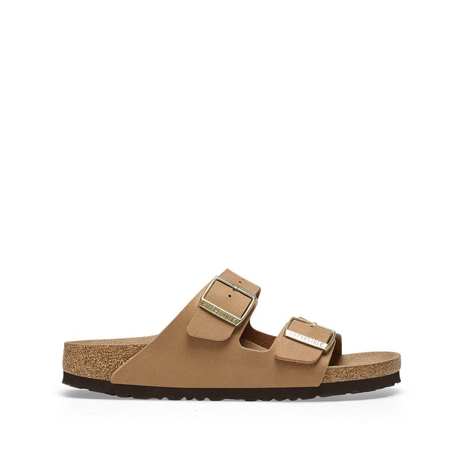 Mules  Arizona camel <span itemprop=