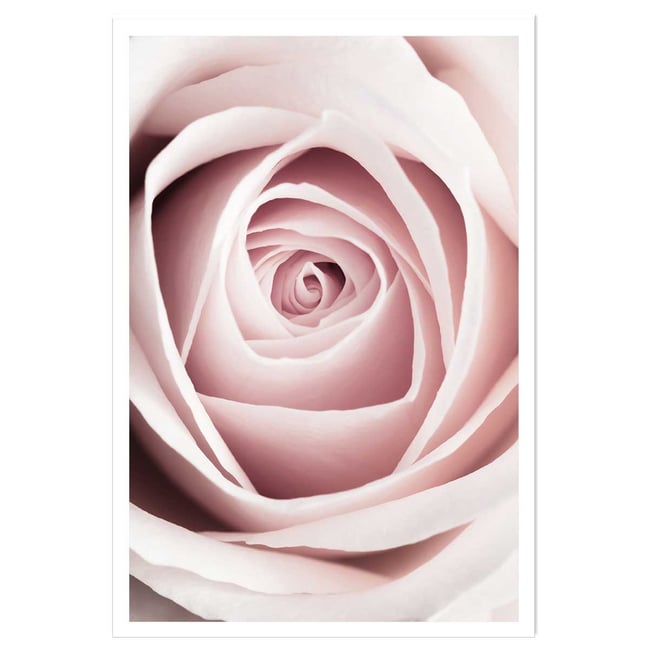 Affiche  coeur de roses - HEXOA