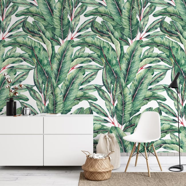 Papier peint - Feuilles tropicales - Exotica - 510x260 cm (l x h) Couleur vert <span itemprop=