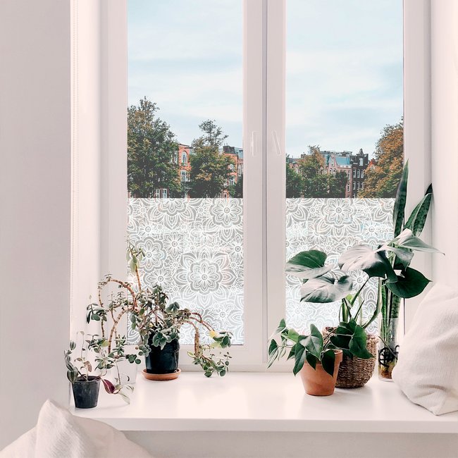 Film vitrostatique pour vitre Décoratif Fleurs romantiques Couleur blanc <span itemprop=