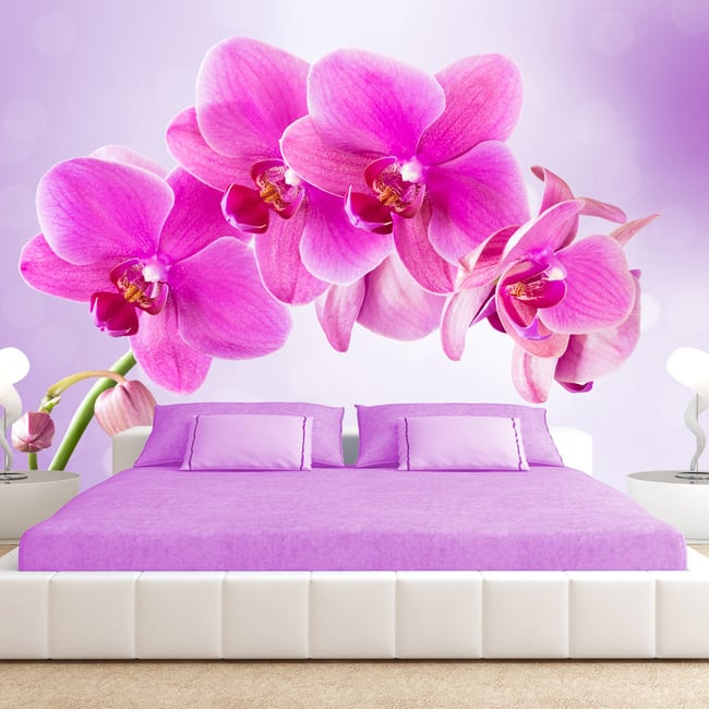 Papier peint intissé panoramique Fleurs Thoughtfulness Couleur vert <span itemprop=