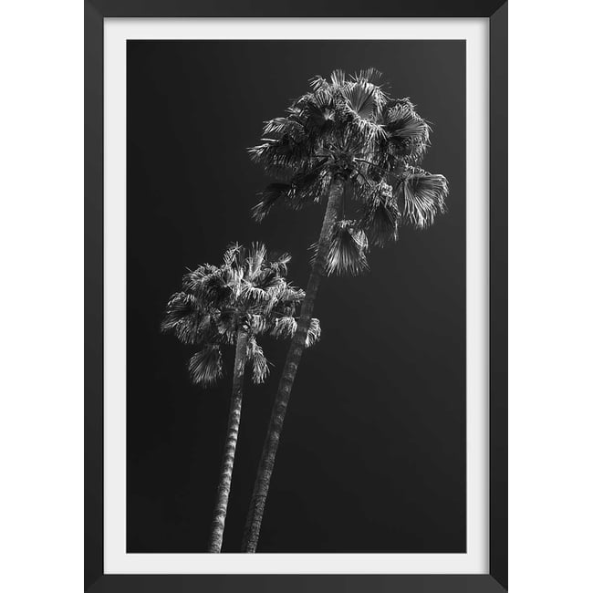 Affiche paysage Ambiance Californie - HEXOA