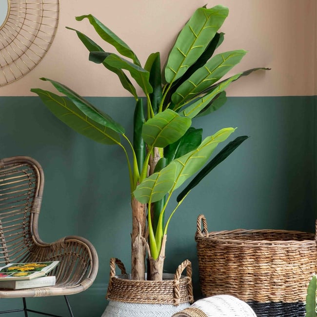 203cm Faux Banana Palm Plant, green, ÉDITÉ