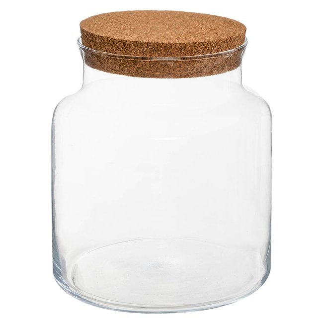 Terrarium Couleur transparent <span itemprop=