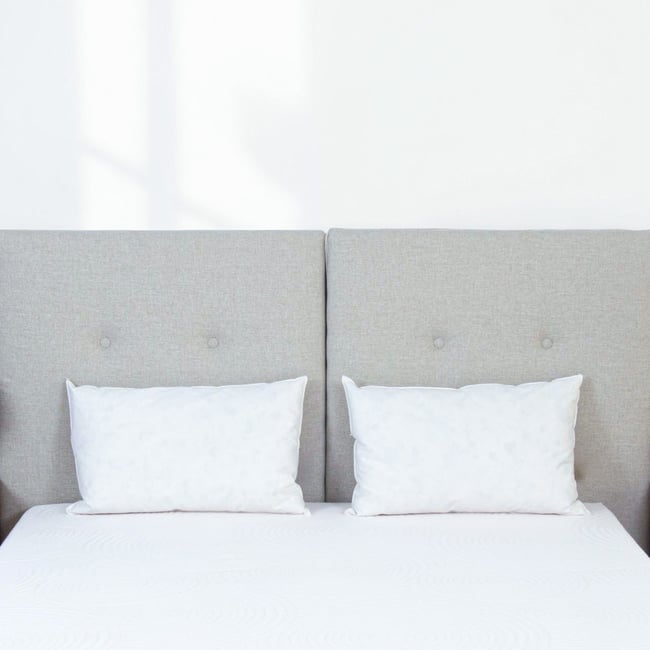 Oreiller Plumes et duvet NATURA Couleur blanc <span itemprop=