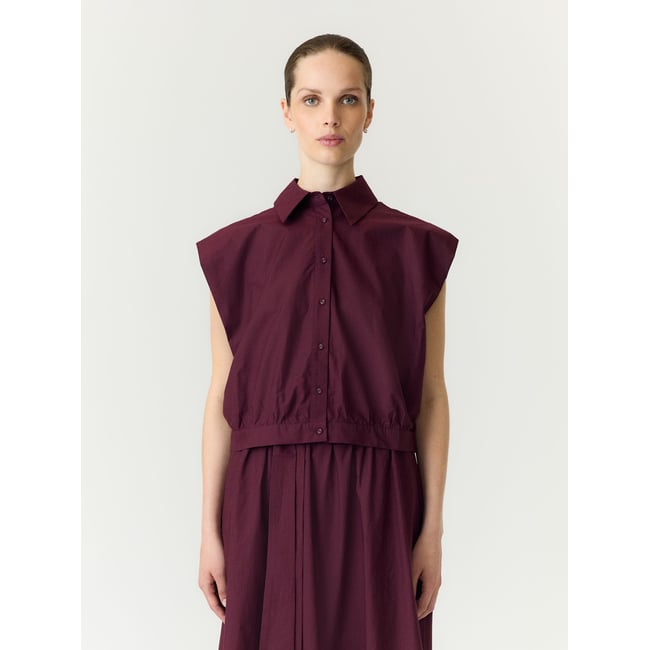 Top violet - fig1 <span itemprop=