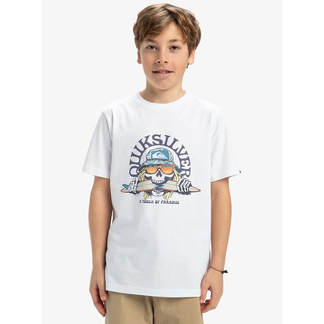 Camiseta de manga larga - QUIKSILVER