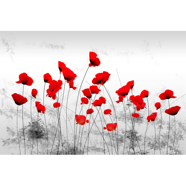 Tableau design coquelicots gris - HEXOA