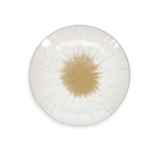 Lot de 4 assiettes 18 cm ECLIPSE - SP COLLECTION