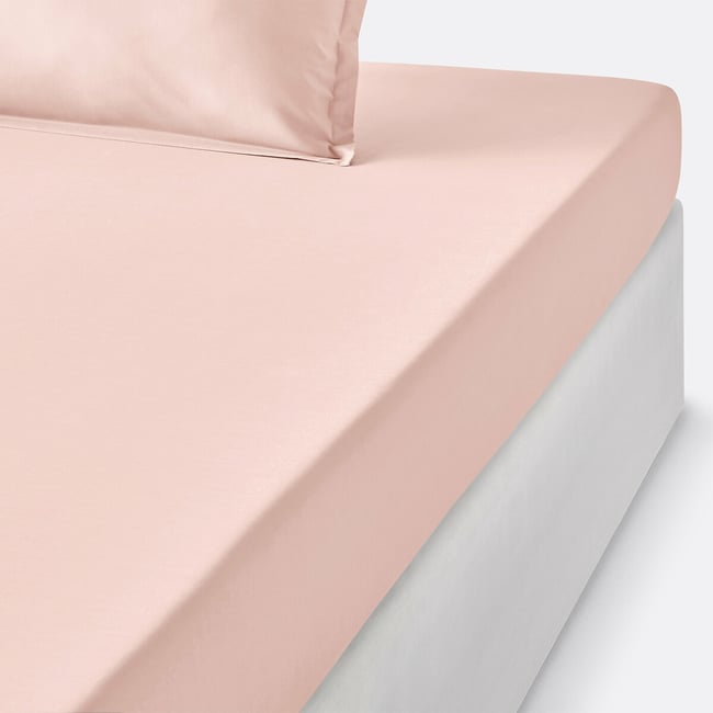 Scenario Kids' Cotton Percale 200 Thread Count Fitted Sheet - LA REDOUTE INTERIEURS