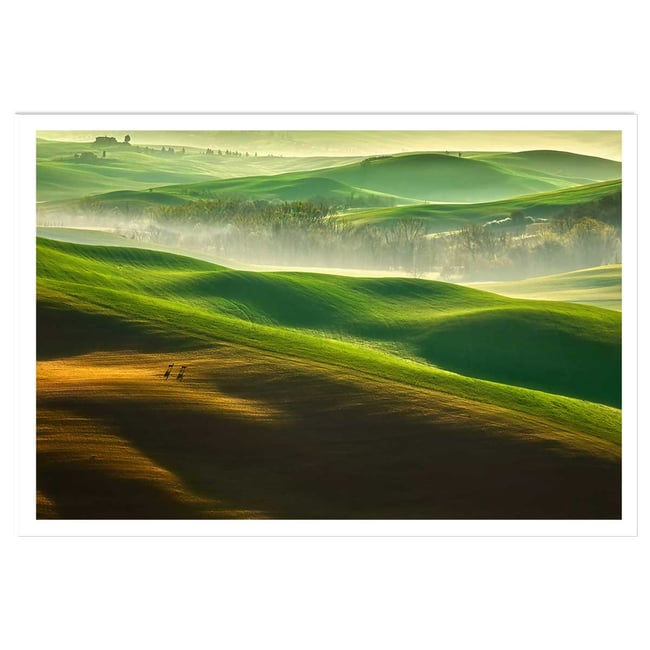 Affiche nature collines brumeuses - HEXOA