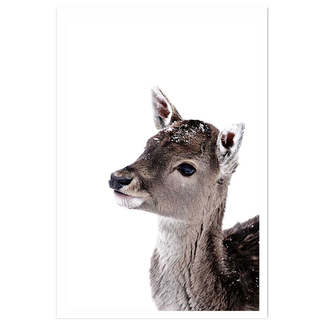 Affiche enfant faon sous la neige - HEXOA