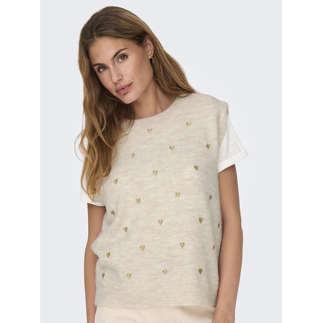 Crew Neck Jumper with Short Sleeves - ONLY