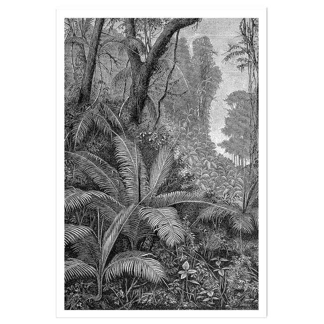 Affiche paysage jungle indienne - HEXOA