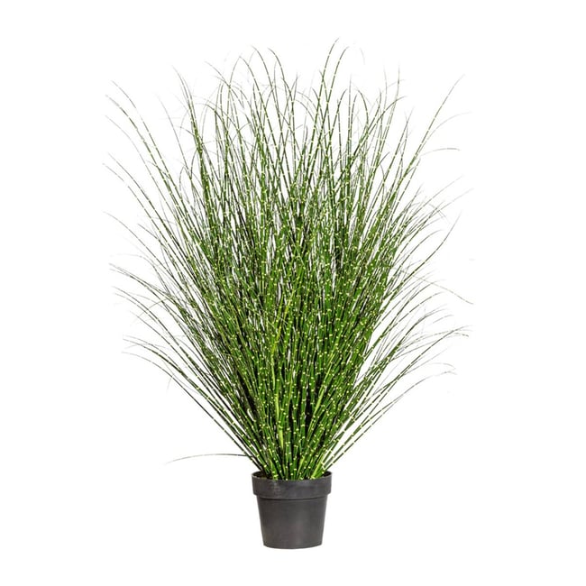 Miscanthus Zebrinus Factice,Graminée réalist Couleur vert <span itemprop=