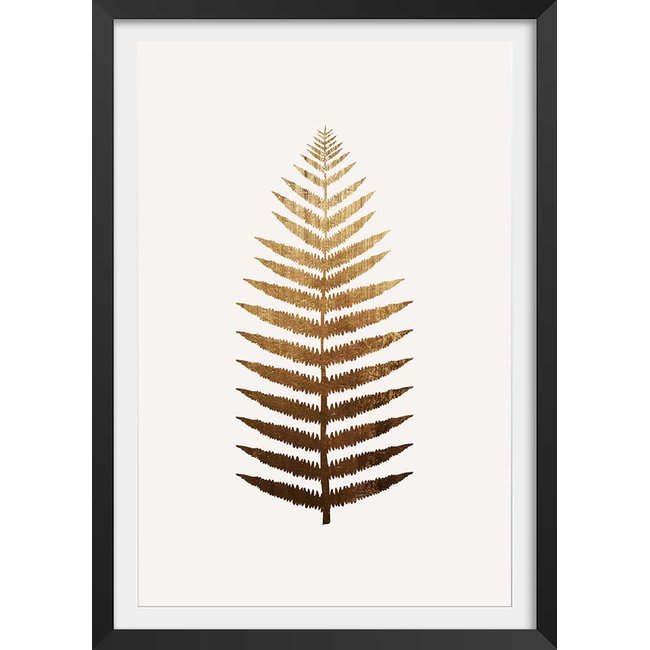 Affiche fleurs Fougere d'or - HEXOA