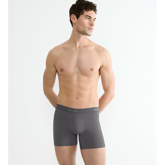 Confezione da 2 boxer (lunghi), cotone biologico grigio scuro SLOGGI