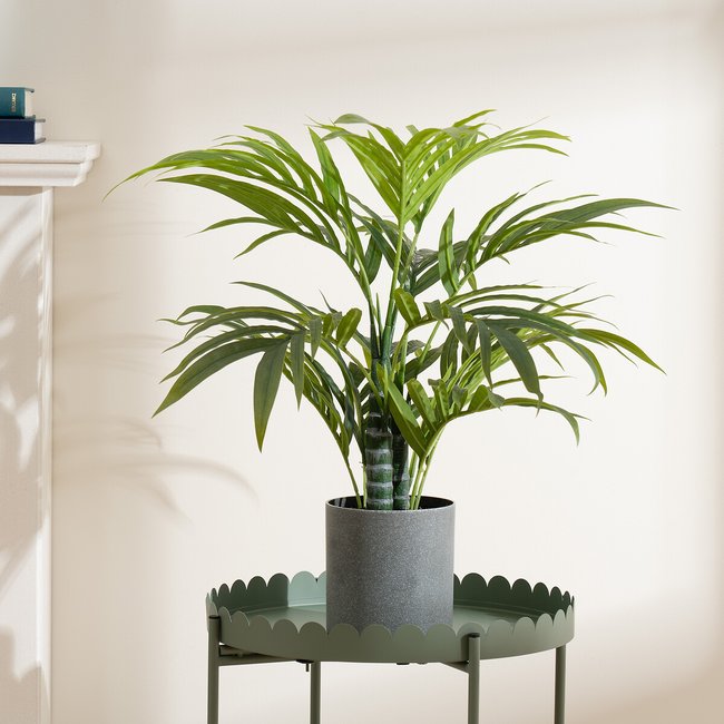 60cm Palm Tree, green, SO'HOME