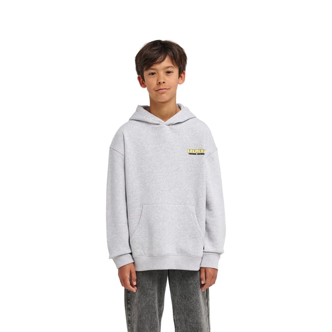 Sweat capuche FEEL POWER gris mid grey heather <span itemprop=