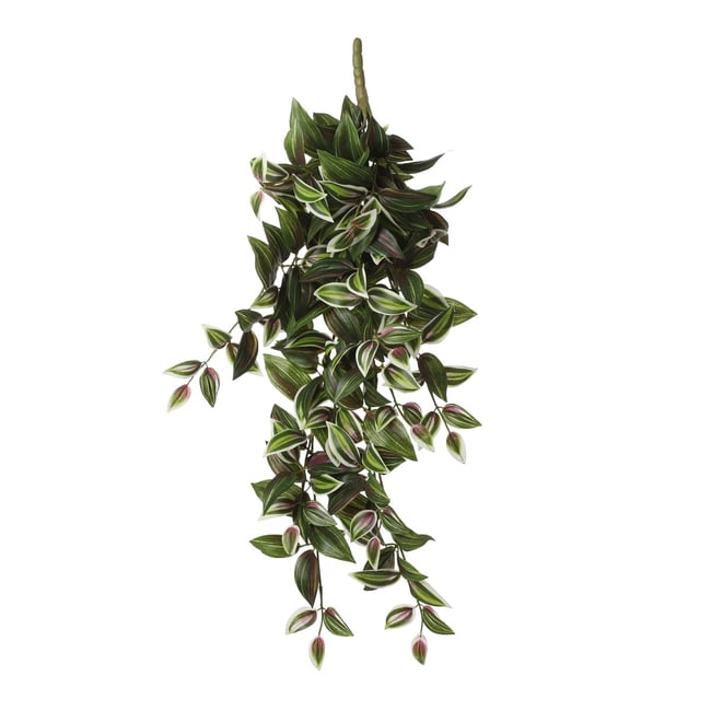 Plante artificielle TRADESCANTIA Couleur vert <span itemprop=