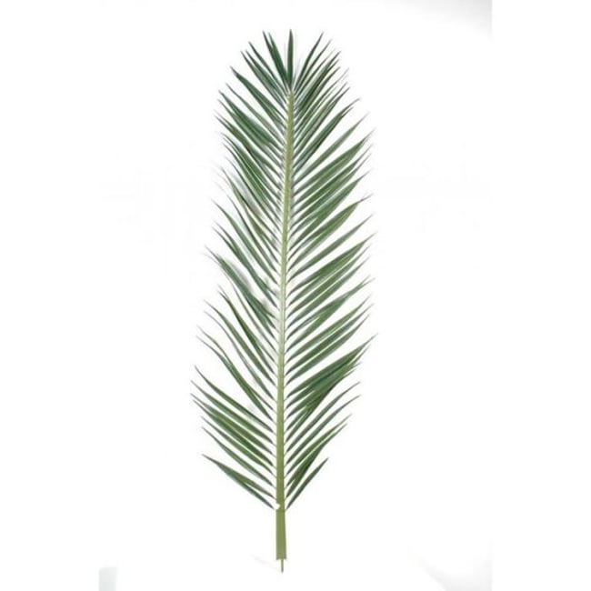 Feuille de palmier Phoenix artificielle en Couleur vert <span itemprop=