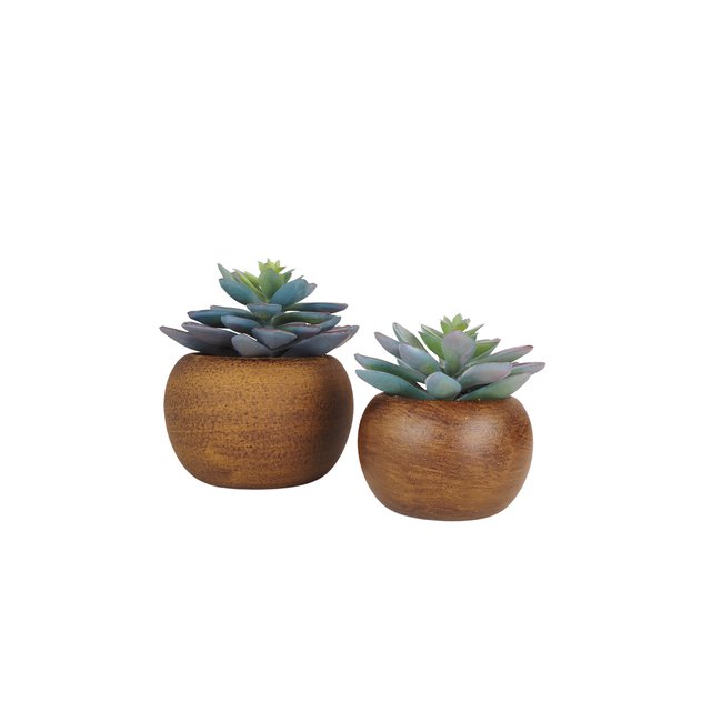 Succulente artificielle pot bois 15cm lot de 2 Couleur vert <span itemprop=