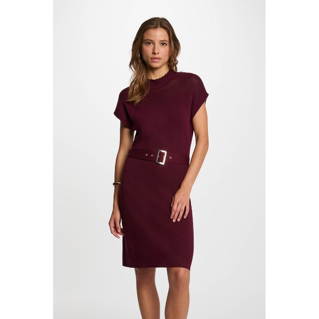 Robe tricot manches courtes prune <span itemprop=