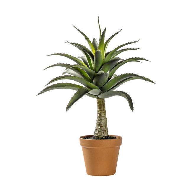 57cm Artificial Potted Agave, green, SO'HOME