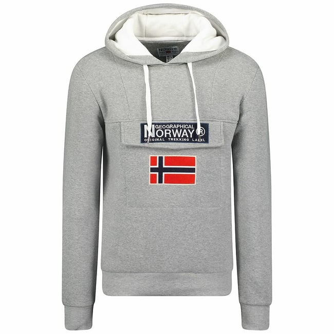 Sweat à capuche avec logo Gadrien gris clair <span itemprop=