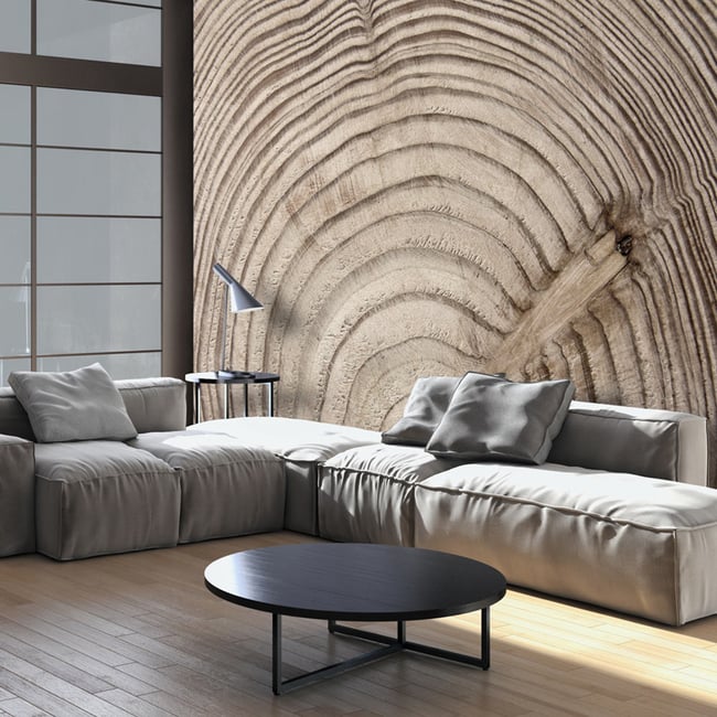 Papier peint intissé panoramique Cerne d'un arbre Couleur multicouleur <span itemprop=
