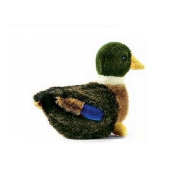 Colvert peluche de canard  19cm - HANSA