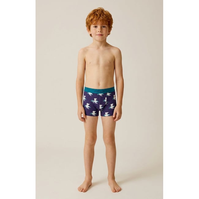 Boxer enfant en jersey de coton imprimé Pôle position marine <span itemprop=