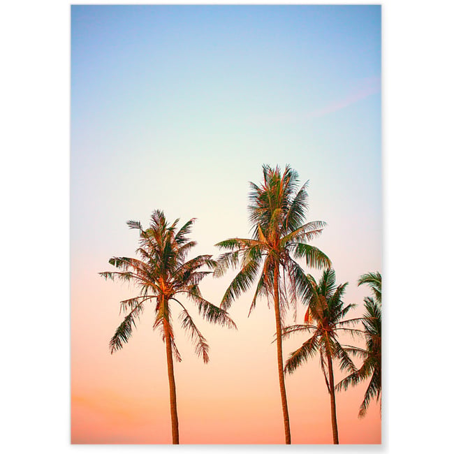 Poster Nature Tropicale 3 Couleur blanc <span itemprop=