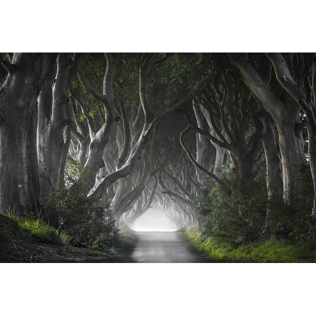 Tableau route de l'irréel - HEXOA