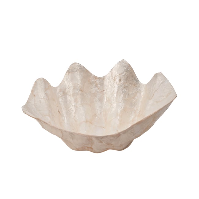 Porte-savon en coquillage MOTHER OF PEARL Couleur blanc <span itemprop=