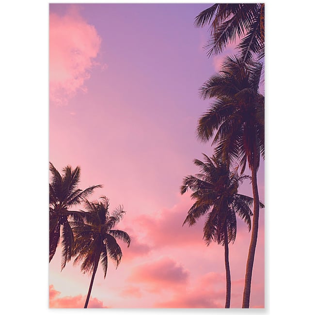 Poster Nature Ciel Rose 4 Couleur blanc <span itemprop=