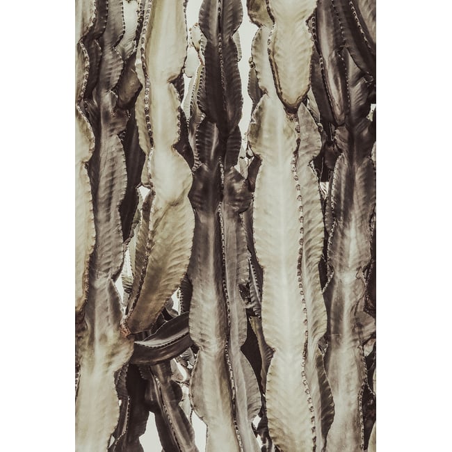 Tableau cactus mood - HEXOA