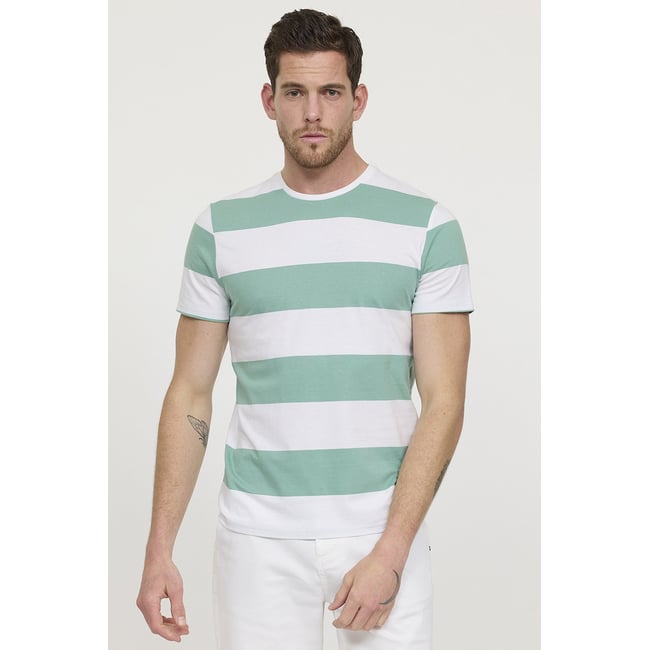 T-shirt manches courte coton regular APIRO vert <span itemprop=