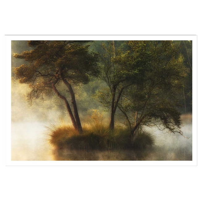 Affiche Ilôt et lac en automne - HEXOA
