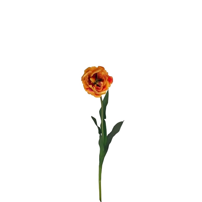 Tige de tulipe double artificielle H70 - SIA DECO
