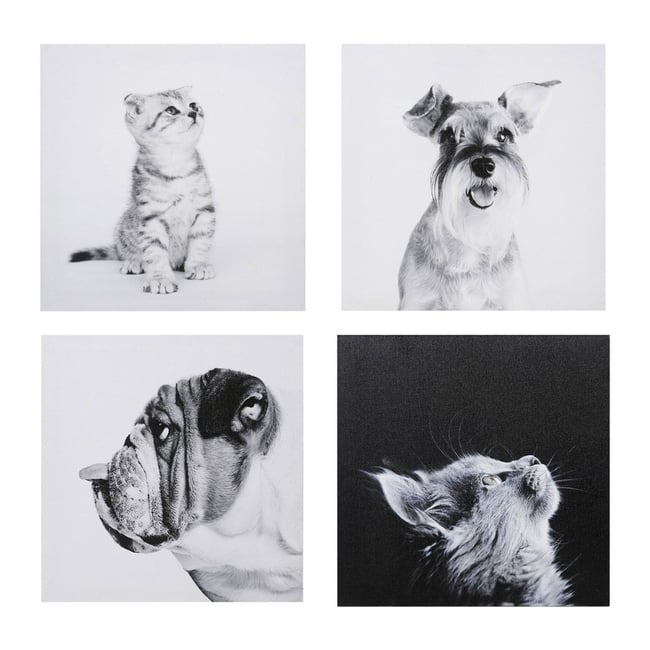 Ensemble de 4 tableaux sur toile imprimée 28x28  Funny Couleur v002229 <span itemprop=